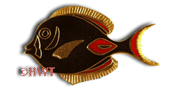 14 Karat Gold Alchilles Tang or Paku'iku'I Enameled Collector Pin - Trademark Jewelers