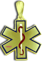 14 Karat Gold Ambulance Pendant - Trademark Jewelers