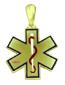 14 Karat Gold Ambulance Pendant - Trademark Jewelers